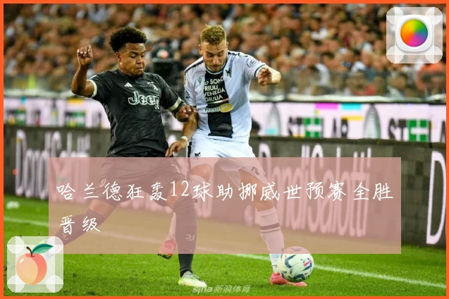 哈兰德狂轰12球助挪威世预赛全胜晋级