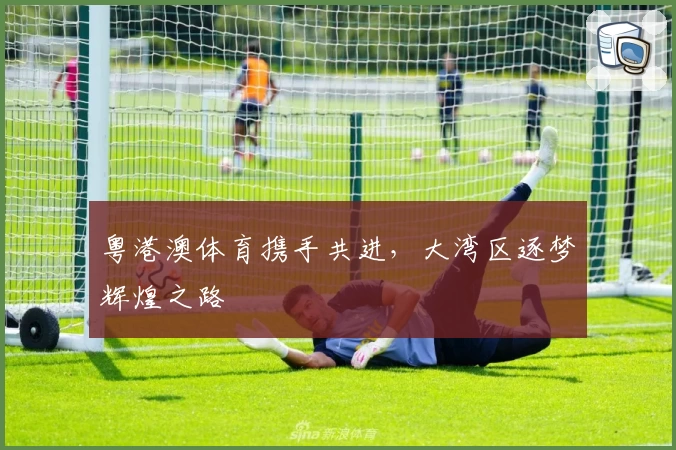 粤港澳体育携手共进，大湾区逐梦辉煌之路